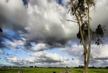 中甲冲超组积分榜竞争有多激烈？谁能最终拿到中超入场券？